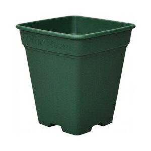 [AXNGA 260^ O[ AbvEFA[ [YK[f o Aؔ