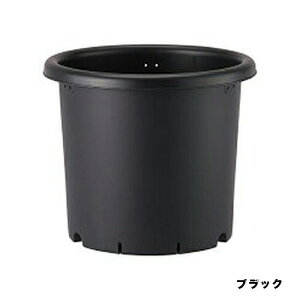 e 8 ubN AbvEFA[  AKx R[fbNX T{e