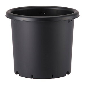 e 10 ubN AbvEFA[  AKx R[fbNX T{e