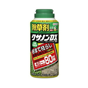 NTmEX 400g ZFw| 