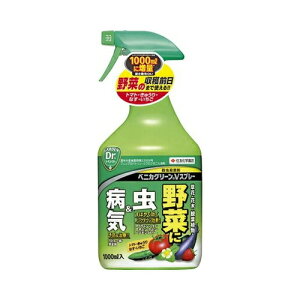 xjJO[VXv[@1000ml@ZFw|