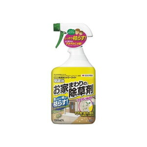 ގV[Ch 1000ml ZFw| K[fjO 