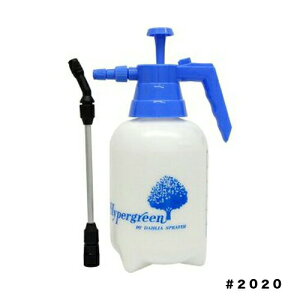 SX[p[O[^[2L@2020@}n`YƁ@|piEK[fjOpi