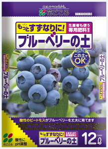 u[x[̓y@12L@Ԃ@|piEK[fjOpi