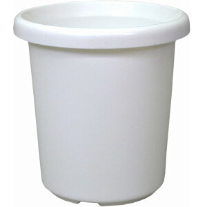 F^ 5 zCg AbvEFA[ ϗtA TZxA |gX