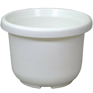 ֔F^ 6 zCg AbvEFA[ Aؔ v^[ AKx R[fbNX ϗtA