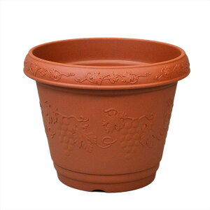 NXgv^[ 320^ uE AbvEFA[  v^[ 񂹐A