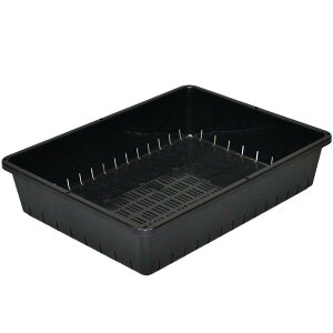 cRei[@12^@ubN@AbvEFA[@|pi@K[fjO@ƒ؉