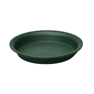 [AM 300^ O[ AbvEFA[  M