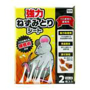 S˂݂ƂV[glY~`[u@3@SHIMADA