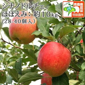 9/15܂Ń|Cg3{Iyz Vimh`F قق݁i󂠂j 10kg F؂ XY LYL Y@Xʍ͔|_Y EF1100~