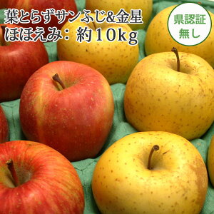 y󂠂z  tƂ炸 ytƂ炸TӂEi񂹂jlߍ킹 قق 10kg i28]46jFؖz LY Fނ ό` L XY w엿 ͔| T