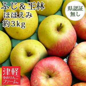 \|CgUPΏۊOy󂠂z tƂ炸 ytƂ炸TӂE l قق(󂠂EEFނEό`) 3kg Fؖz lߍ킹 XY