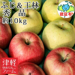 10/30܂Ń|Cg3{IypɂIz  tƂ炸͔| ytƂ炸TӂE lߍ킹 Gi 10kg FؗLz 2 lߍ킹 ʍ͔|_YF  _ Y X