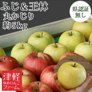 10/30までポイント3倍!青森りんごの詰め合わせ♪贈答用にも【送料無料】 葉とらずりんご 【葉とらずサンふじ・王林(おうりん) 詰め合わせ 丸かじり(秀品・小玉) 約5kg 県認証なし】 2