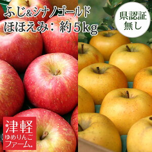※早期予約ポイントUP対象外【訳あり】 送料無料 青森県産りんご 【葉とらずサンふじ・シナノゴールド】 詰め合わせ ほほえみ (訳あり・傷・色むら・変形あり)  約5kg 県認証無し 詰