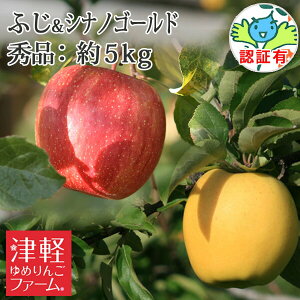 10/30までポイント3倍!贈答用や年末年始にも♪【送料無料】 青森県産りんご 【葉とらずサンふじ・シナノゴールド】 詰め合わせ 秀品 約5kg 県認証有り 特別栽培農産物認証 減農薬 産直 青森