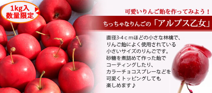 楽天市場】【数量限定】送料無料 【青森県産りんご】アルプス乙女 バラ 