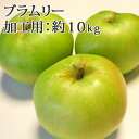 生食用にも！【青森県産りんご・ 送料無料・冷蔵便】 特別栽培農産物認証 ブラムリー 加工用・バラ詰め 約10kg（ キズ、色むら、押しキズあり）甘さのない強めの酸味が特徴的な青りんご 調理用として人気 英国りんご 化学肥料不使用 減農薬 ※沖縄・離島：送料1100円
