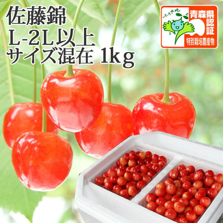 楽天市場 送料無料 青森県産 さくらんぼ 佐藤錦ｌ 2lサイズ 1kｇ 500ｇ 2 ハウス栽培 秀品 バラ詰め 認証有 青森県特別栽培農産物認証 朝取りさくらんぼ 発泡ケース入り 贈答用にも 津軽ゆめりんごファーム
