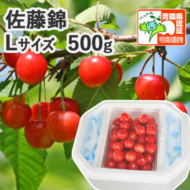 【送料無料・※冷蔵便有】青森県産 さくらんぼ 佐藤錦Lサイズ500g（ハウス栽培/秀品/バラ詰め/認証有）　 減農薬 青森県特別栽培農産物認証 朝取りさくらんぼ 贈答用 夏ギフト プレゼントに！【 発泡ケース入り】【配送地区限定・6月中～下旬発送開始予定】