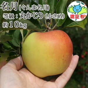 10/16܂Ń|Cg3{Iyz  iܖjۂiGiEʁj 10kgi40-56j FؗL XY ʍ͔|_Y w엿 _ Y X Y  Qn