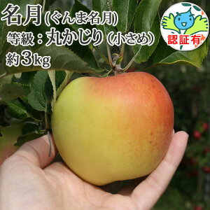 yz iܖjۂiGiEʁj 3kgi12-14j FؗL XY ʍ͔|_Y w엿 _ Yn Qn ь Y  p j 
