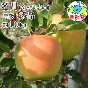 【送料無料】 名月(ぐんま名月) 秀品 約10kg(28-40個入り) 県認証有り 青森県産りんご 特別栽培農産物 無化学肥料 減農薬 産地直送 青森 林檎 国産 群馬名月 特栽 お取り寄せ 贈答用 内祝