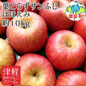 ※早期予約ポイントUP対象外【訳あり】 送料無料 葉とらず栽培【葉とらずサンふじ ほほえみ(訳あり・傷・色むら・変形あり) 約10kg 県認証有り】家庭用 青森林檎 化学肥料不使用 特別栽培農