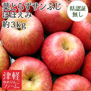 ※早期予約ポイントUP対象外【訳あり】 送料無料 葉とらず栽培 【葉とらずサンふじ ほほえみ (訳あり・傷・色むら・変形あり) 約3kg 県認証無し】 家庭用 青森林檎 化学肥料不使用 産地直送