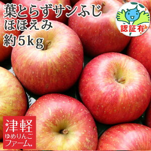 󂠂z  tƂ炸͔|ytƂ炸Tӂ قق(󂠂EEFނEό`) 5kg FؗLzƒp Xь w엿sgp ʍ͔|_YF؎擾 Yn 