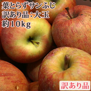 12�����{�ȍ~�̔����E�N���N�n�p�ɂ��I�y���������z �t�Ƃ炸�T���ӂ� ��ʁE�قق��݁i�󂠂�j�i20-26���j ��10kg �X���Y��� ������E�����F����1100�~