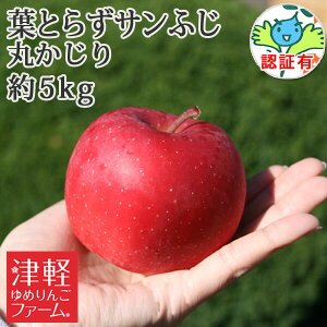 10/30までポイント3倍!青森りんご【送料無料】 葉とらず栽培 【葉とらずサンふじ 丸かじり(秀品・小玉) 約5kg 県認証あり】青森県特別栽培農産物 小さめサイズで 食べきりやすい 小玉林