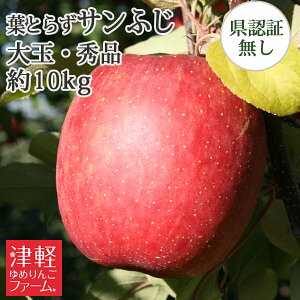 12�����{�ȍ~�̔����E�N���N�n�p�ɂ��I�y�X��񂲁������p�ɂ��z�������� �t�Ƃ炸��� �y�t�Ƃ炸�T���ӂ� ��ʁE�G�i�i20-26���j ��10kg �F�؂Ȃ��z �X���Y��� �����p ������E