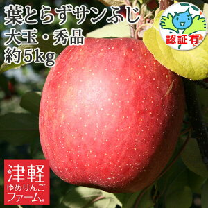 12{ȍ~̔yzNNnɂI tƂ炸Tӂ ʁEGii10-13j 5kg ʍ͔|_YF XY p F EF1100~