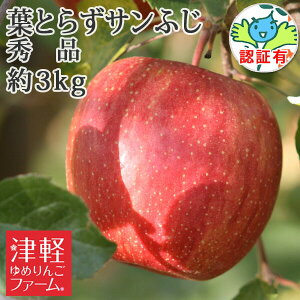 10/30までポイント3倍!【青森りんご♪贈答用にも】【送料無料】 葉とらず栽培 【葉とらずサンふじ 秀品 約3kg 県認有り】 青森県産林檎 特別栽培農産物認証 化学肥料不使用 お見舞い 内祝い