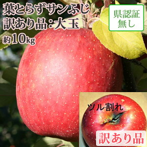 12�����{�ȍ~�̔����E�N���N�n�p�ɂ��I�y���������z �t�Ƃ炸�T���ӂ� ��ʁE�قق��݁i�󂠂�j�i20-26���j ��10kg �X���Y��� ������E�����F����1100�~