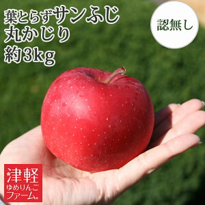 10/30܂Ń|Cg3{IX񂲁yztƂ炸͔| ytƂ炸Tӂ ۂiGiEʁj 3kg Fؖz ߃TCY Hׂ₷傫 ʗь͒̍