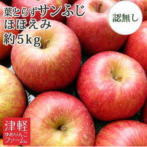 y󂠂z  tƂ炸͔| ytƂ炸Tӂ قق (󂠂EEFނEό`) 5kg Fؖz ƒp Xь w엿sgp Yn  EF