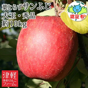 12�����{�ȍ~�̔����E�N���N�n�p�ɂ��I�y���������z �t�Ƃ炸�T���ӂ� ��ʁE�G�i�i20-26���j ��10kg ���ʍ͔|�_�Y���F�� �X���Y��� �����p �F���� ������E�����F����1100�~