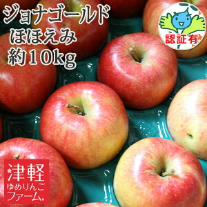 yz WiS[h قق i󂠂FLYLAFނAό`j10kg FؗL ʍ͔|_YF XY Y FL EF1100~