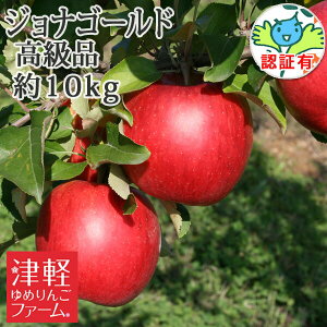 【送料無料】 ジョナゴールド 高級品 約10kg 認証有り 贈答用 特別栽培農産物認証 青森県産りんご 国産 ※沖縄・離島:送料1100円