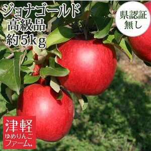 【送料無料】 ジョナゴールド 高級品 約5kg 県認証なし 贈答用 青森県産りんご 国産 ※沖縄・離島:送料1100円