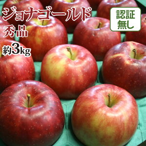 yz WiS[h Gi 3kg Fؖ yi XY Y FȂ EF1100~