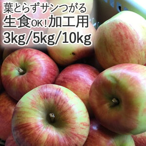 HpɂIyE①ցz XY tƂ炸T HpEol 3kg`10kgi LYAFނALYj EF1100~