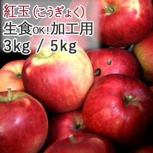 HpɂIyz XY g HpEol 3kg`5kgi LYAFނALYj _ w엿sgpiw엿j EF1100~