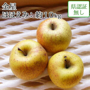 y󂠂z  tƂ炸 yi񂹂j قق 10kgi28-46j Fؖz w엿sgp ܍͔| T LYL y tƂ炸͔| P XY