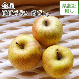 楽天市場 りんご 金星の通販