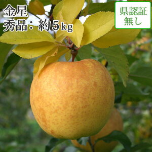 11/5までポイント3倍!送料無料 葉とらずりんご 【金星(きんせい) 秀品 約5kg 県認証無し】贈答用 お手軽 化学肥料不使用 無袋 栽培 青森県産りんご サン金星 お歳暮 年末年始 御礼 御祝用