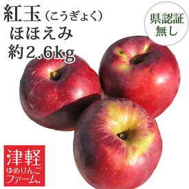 楽天市場 重さ 1個 りんご 食品 の通販